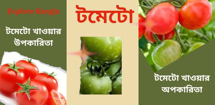 টমেটো